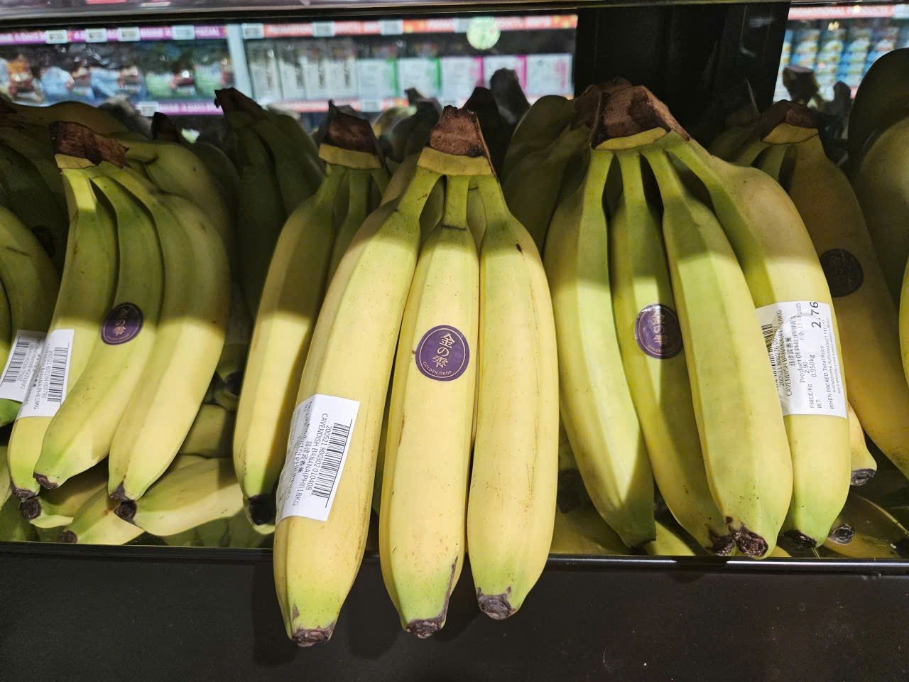 Premium bananas, editorial