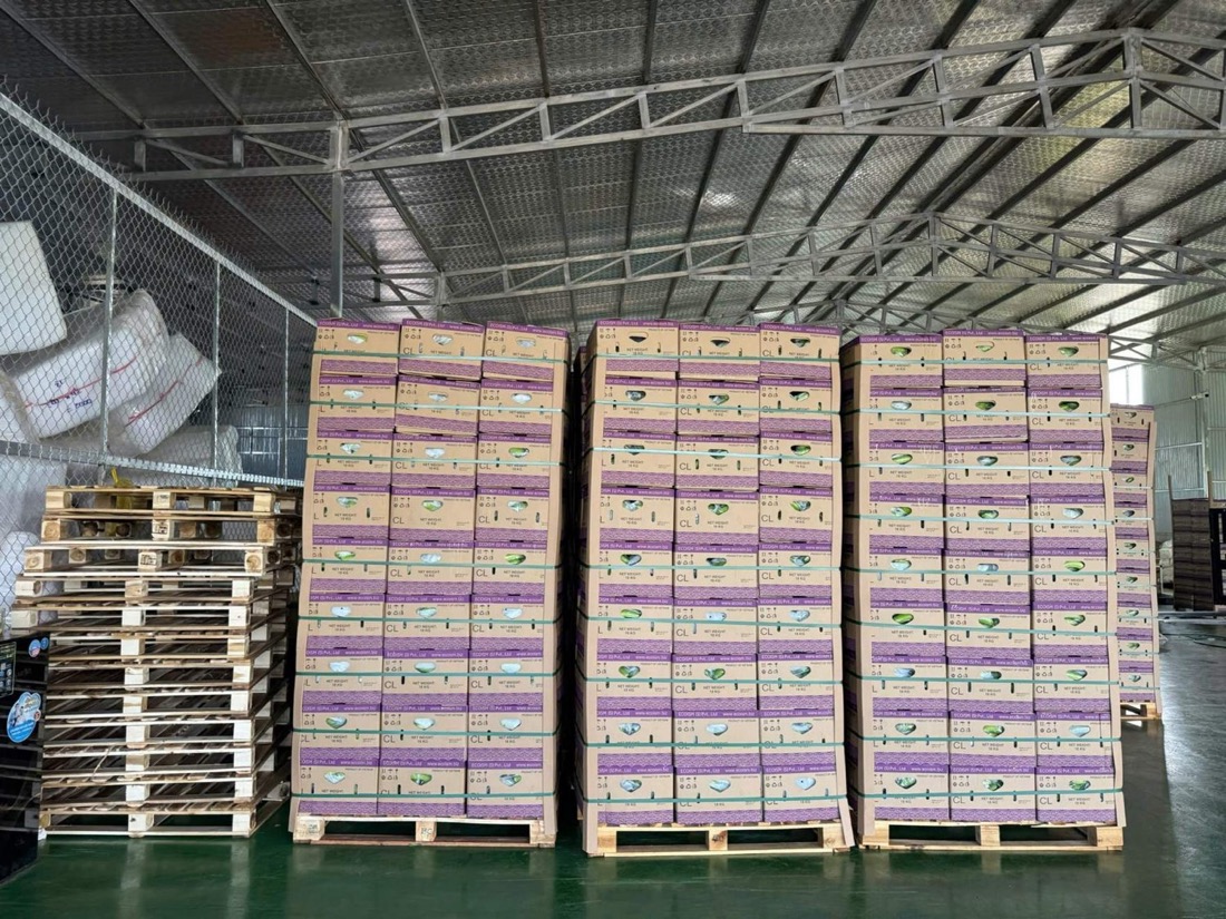 'Golden Drop / Product of Vietnam' export boxes, packed under our own brand