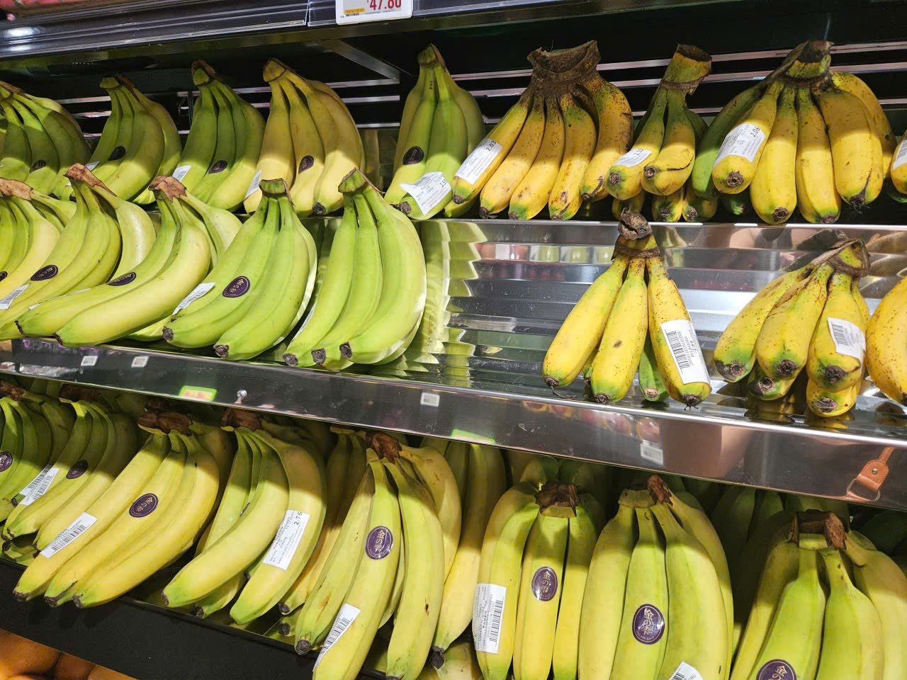 'Golden Drop' bananas in stock on a Singapore supermarket shelf